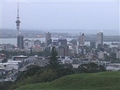 Perils For Pedestrians 58: New Zealand
